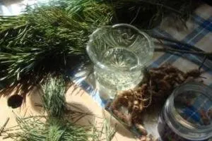 Масло сосни в домашніх умовах (умовах) Масло сосни в домашніх умовах