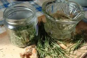 Масло сосни в домашніх умовах (баночку заповнивши третю) Масло сосни в домашніх умовах