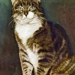 Майстер-клас танк для кота з картонної коробки (фото!) - кототека - найцікавіше про світ кішок (майстер-клас) Майстер-клас танк для кота з картонної коробки (фото!) - кототека - найцікавіше про світ кішок