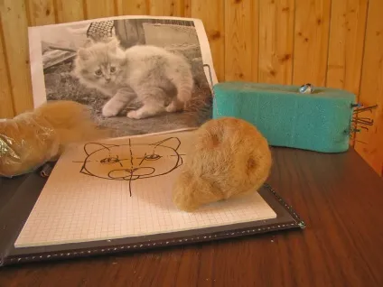 Майстер клас з валяння іграшки, кота (майстер) Майстер клас з валяння іграшки, кота