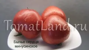 Минусинские томати