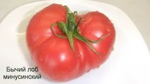 Минусинские томати