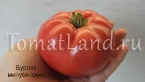 Минусинские томати