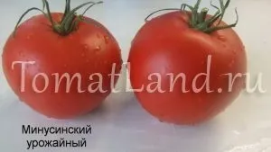 Минусинские томати