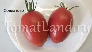 Минусинские томати