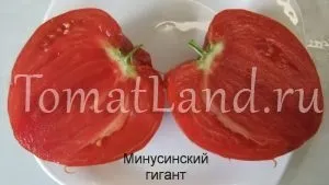 Минусинские томати