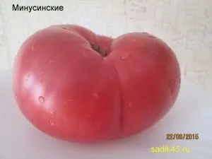 Минусинские томати