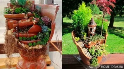Міні-сад в горщику своїми руками