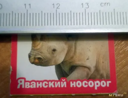 Мікроскоп дешевий і сумний