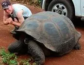 Чи можна зупинити старіння людини назавжди зупинити старіння людини (можна) Чи можна зупинити старіння людини назавжди зупинити старіння людини