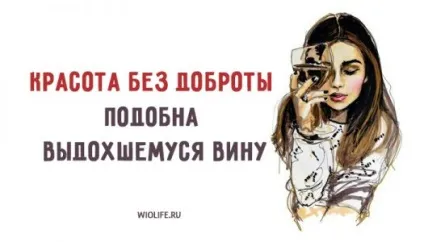 Мудрі італійські висловлювання, блог matveychev, конт (конт) Мудрі італійські висловлювання, блог matveychev, конт