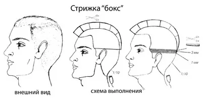 Чоловіча стрижка бокс - фото і технологія (стрижка) Чоловіча стрижка бокс - фото і технологія