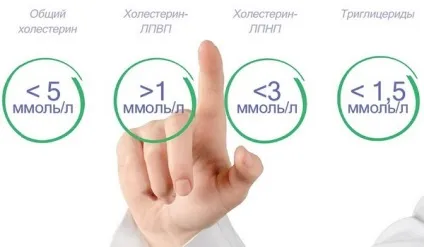 Порушення ліпідного обміну види, причини, симптоми і лікування (лікування) Порушення ліпідного обміну види, причини, симптоми і лікування