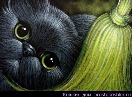 Народні прикмети, змови про вінику, котячий будинок (прикмети) Народні прикмети, змови про вінику, котячий будинок