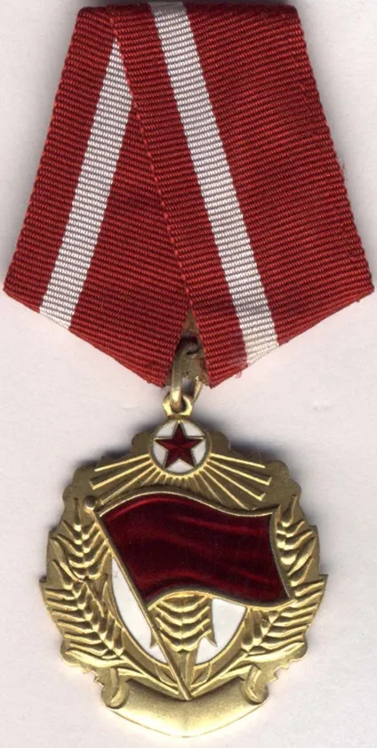 Нагороди за службу в демократичної республіки Афганістан в 1979 - 1989 роках