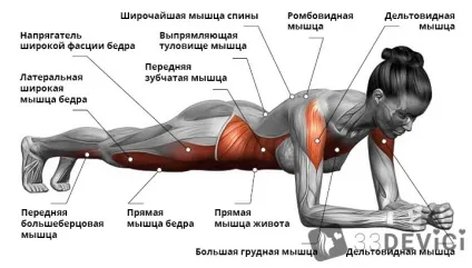 Вправа пряма і бічна планка як його правильно виконувати і скільки тримати (вправа) Вправа пряма і бічна планка як його правильно виконувати і скільки тримати