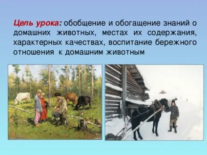 Урок витоки по темі брати менші, проведений у 2 класі ( «Про кого кажуть Турбота) Урок витоки по темі брати менші, проведений у 2 класі
