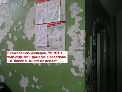 Ук - срібна блискавка