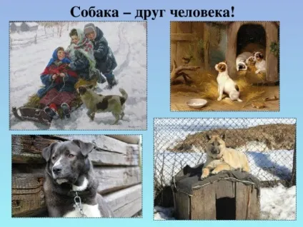 Урок витоки по темі брати менші, проведений у 2 класі ( «Про кого кажуть) Урок витоки по темі брати менші, проведений у 2 класі
