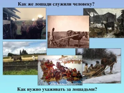 Урок витоки по темі брати менші, проведений у 2 класі (урок) Урок витоки по темі брати менші, проведений у 2 класі