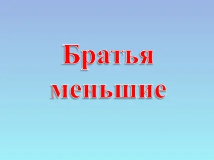 Урок витоки по темі брати менші, проведений у 2 класі (урок) Урок витоки по темі брати менші, проведений у 2 класі