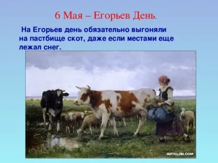 Урок витоки по темі брати менші, проведений у 2 класі ( «Про кого кажуть) Урок витоки по темі брати менші, проведений у 2 класі