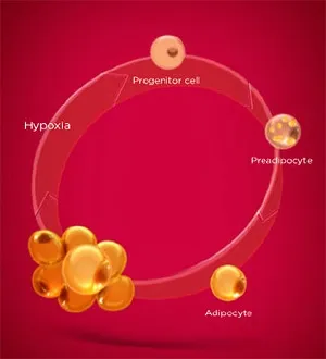 Нове антицелюлітний засіб lift minceur anti-capitons від clarins - новинки - Або де Боте - (уходние кошти) Нове антицелюлітний засіб lift minceur anti-capitons від clarins - новинки - Або де Боте -