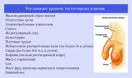 Низький рівень тестостерону у чоловіків (низький) Низький рівень тестостерону у чоловіків