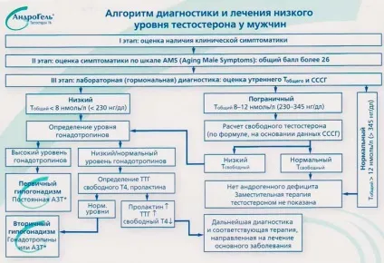 Низький рівень тестостерону у чоловіків (чоловіків) Низький рівень тестостерону у чоловіків