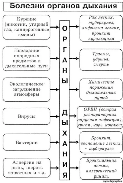 Нічний кашель у дорослого причини, як зупинити, напади, як лікувати, сухий, сильний, лікування (причини) Нічний кашель у дорослого причини, як зупинити, напади, як лікувати, сухий, сильний, лікування