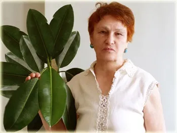 Обласна клінічна лікарня світ