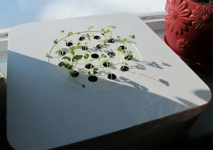Огляд домашньої гідропоніки click and grow, в якій сумнівався Кліффорд Саймак (в якій сумнівався Кліффорд Саймак) Огляд домашньої гідропоніки click and grow, в якій сумнівався Кліффорд Саймак
