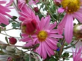Огляд смартфона sony xperia xz новий погляд на старі проблеми (xperia) Огляд смартфона sony xperia xz новий погляд на старі проблеми