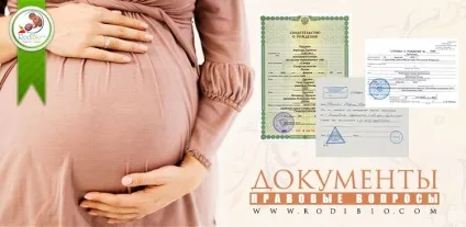 Оформлення свідоцтва про народження домашнього дитини (рф) - rodibio (народження) Оформлення свідоцтва про народження домашнього дитини (рф) - rodibio