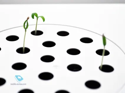Огляд смартпота click and grow (click) Огляд смартпота click and grow