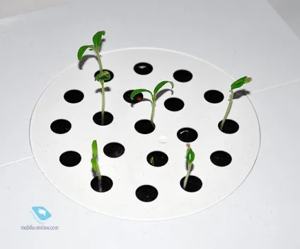 Огляд смартпота click and grow (grow) Огляд смартпота click and grow