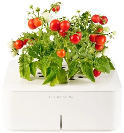 Огляд смартпота click and grow (grow) Огляд смартпота click and grow