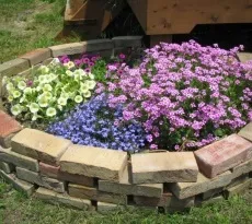 Огорожа для клумби своїми руками фото, поради, інструкції (руками) Огорожа для клумби своїми руками фото, поради, інструкції