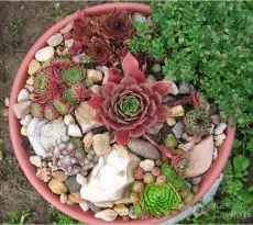 Огорожа для клумби своїми руками фото, поради, інструкції (руками) Огорожа для клумби своїми руками фото, поради, інструкції