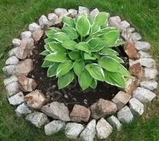 Огорожа для клумби своїми руками фото, поради, інструкції (руками) Огорожа для клумби своїми руками фото, поради, інструкції