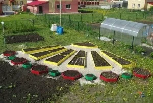 Огородження для грядок з полікарбонату, шиферу, пластика своїми руками (грядок) Огородження для грядок з полікарбонату, шиферу, пластика своїми руками