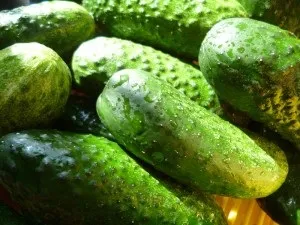 Огірки консервовані, нарізані шматочками (покрокові рецепти) Огірки консервовані, нарізані шматочками