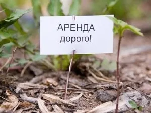 Оплата земельного податку при оренді земельних ділянок (земельних) Оплата земельного податку при оренді земельних ділянок