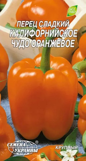 Опис сорти перцю каліфорнійське чудо і особливості його вирощування (сорту) Опис сорти перцю каліфорнійське чудо і особливості його вирощування