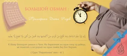 Оформлення свідоцтва про народження домашнього дитини (рф) - rodibio (свідоцтва) Оформлення свідоцтва про народження домашнього дитини (рф) - rodibio
