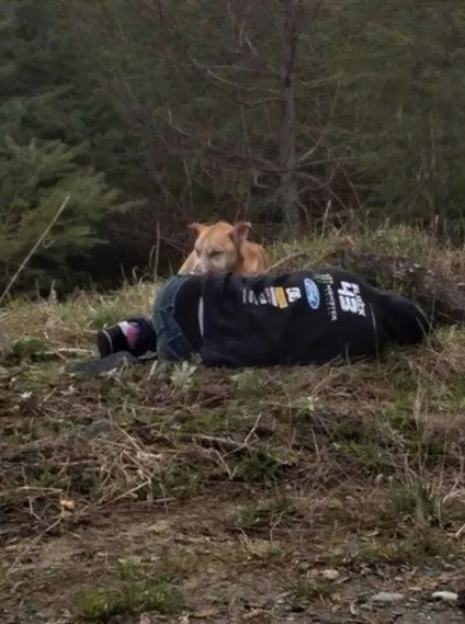 Вона лежала на землі, не подаючи ознак життя ... подивіться, що зробив цей бездомний пес! (Землі) Вона лежала на землі, не подаючи ознак життя ... подивіться, що зробив цей бездомний пес!