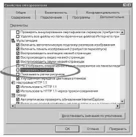 Основи web сайти, навігатори і навігація, контент-платформа (сайти) Основи web сайти, навігатори і навігація, контент-платформа