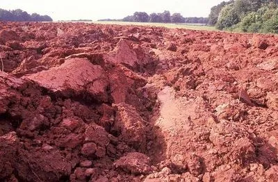 Основні правила будівництва паркану на болотистому ґрунті (дерев'яний паркан) Основні правила будівництва паркану на болотистому ґрунті