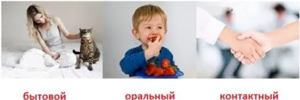Гострики симптоми і лікування у дітей фото ознак у дитини, як визначити і виявити (дітей) Гострики симптоми і лікування у дітей фото ознак у дитини, як визначити і виявити
