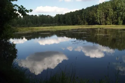 Зупиніться! Як підвищити усвідомленість (зупиніться) Зупиніться! Як підвищити усвідомленість